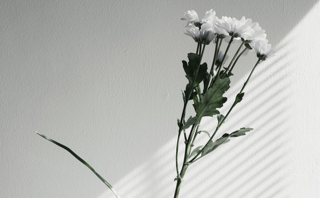 The Fragrance Trends Defining 2026