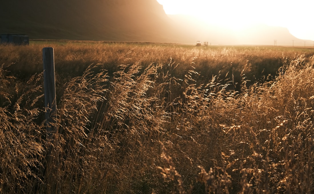 Your Signature Scent and What It Signals