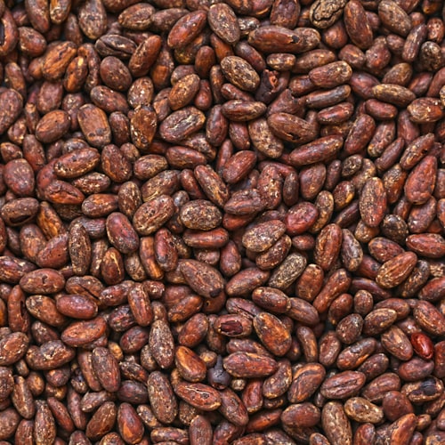 Cocoa