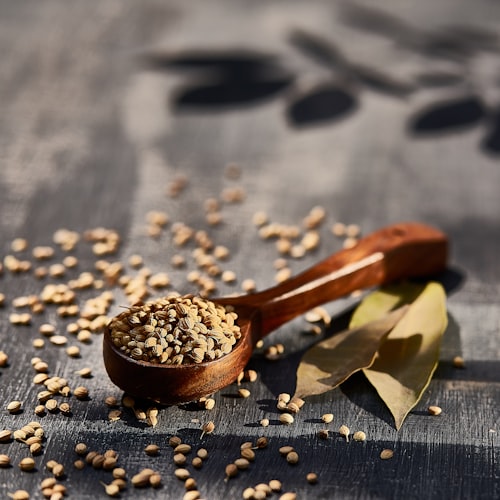 Coriander