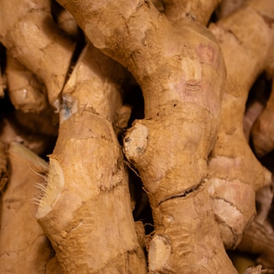Ginger