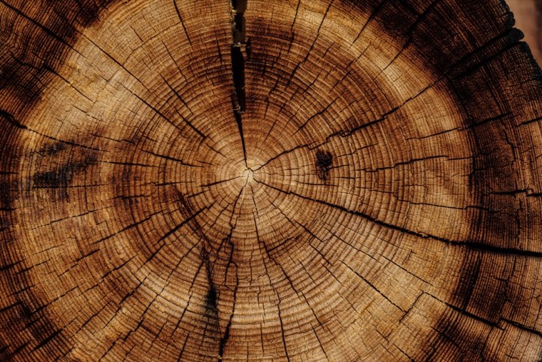 Cedar