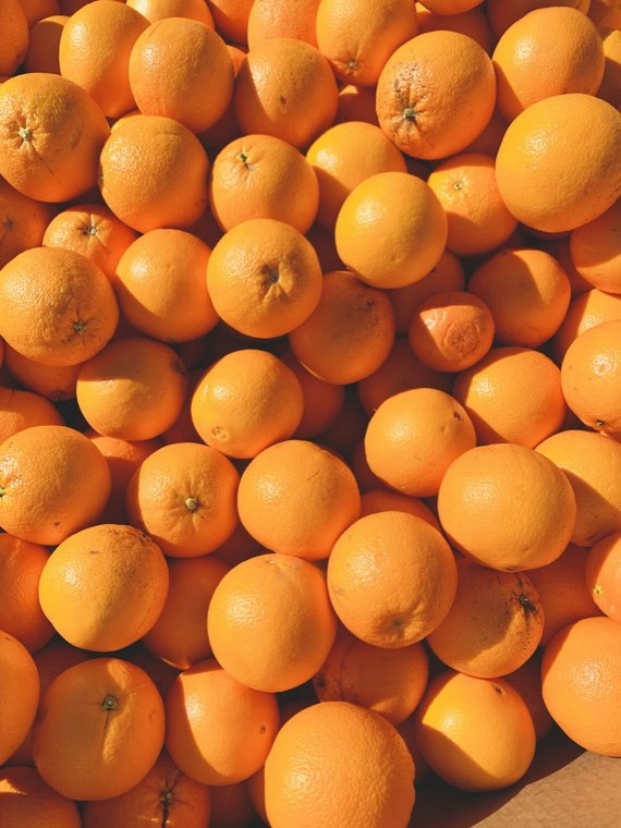 Bergamot