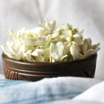 Tuberose flowers