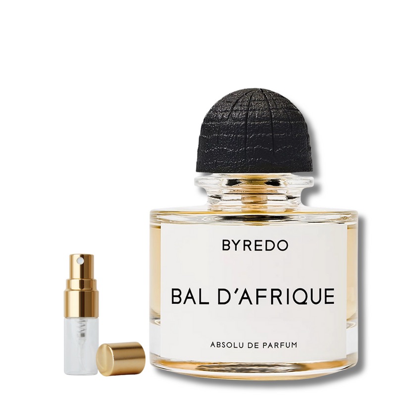 Bal D'afrique Absolu